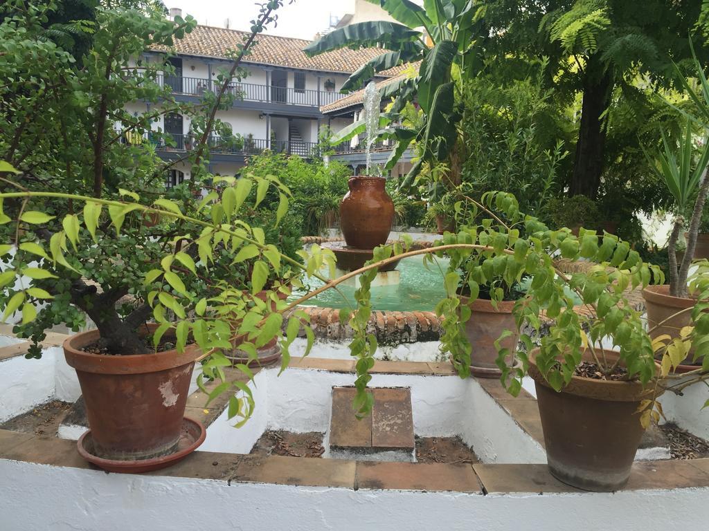 Oasis En El Centro De Sevilla 외부 사진